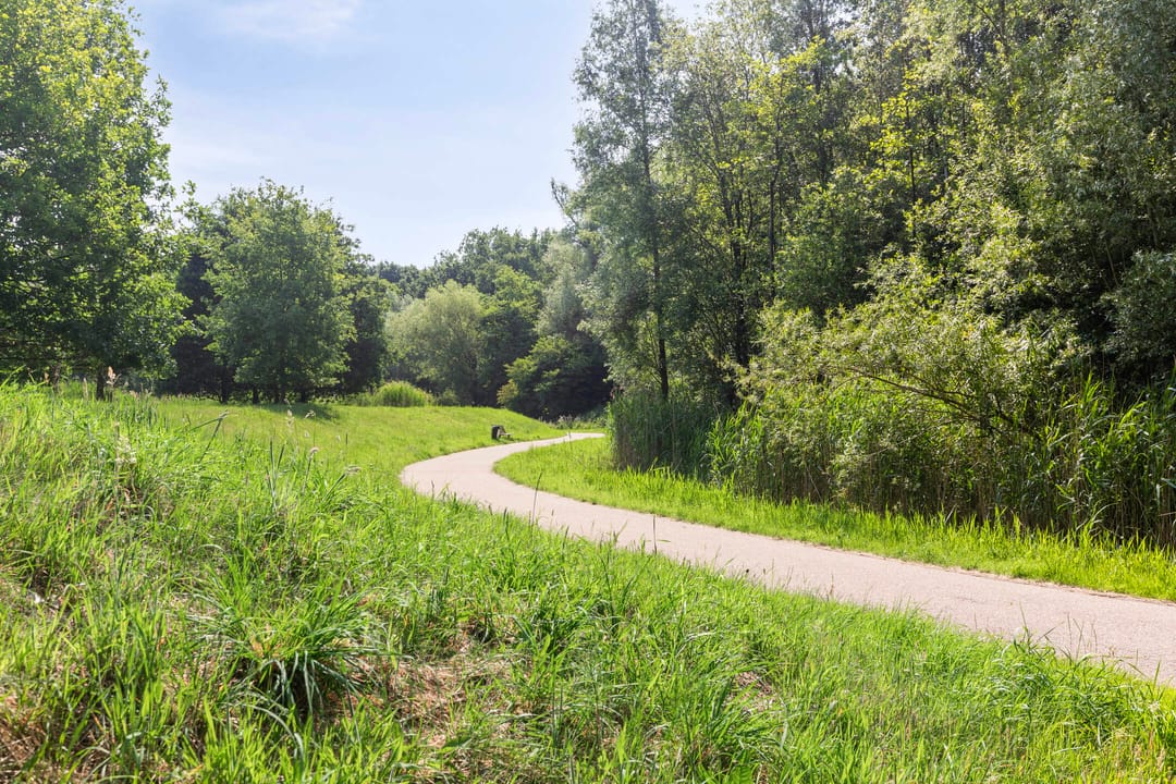 Foto 32 van Satijnvlinderlaan 10