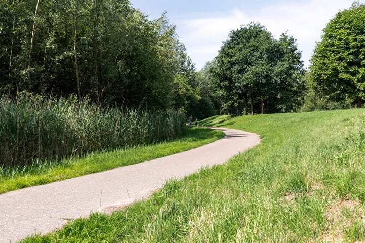 Foto 33 van Satijnvlinderlaan 10