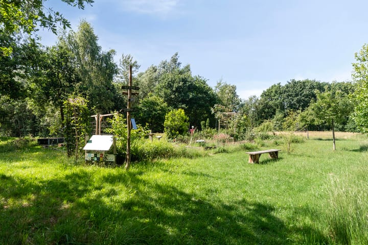 Foto 34 van Satijnvlinderlaan 10