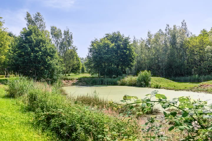 Foto 35 van Satijnvlinderlaan 10