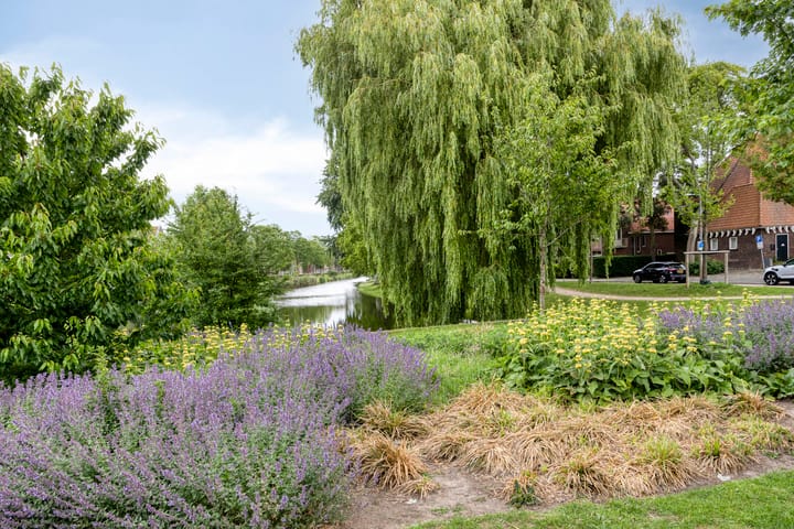 Foto 35 van De Quackstraat 48-A