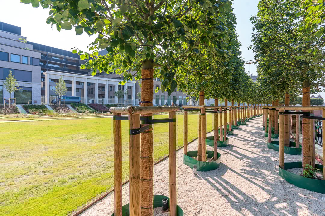 Foto 47 van San Marinostraat 123