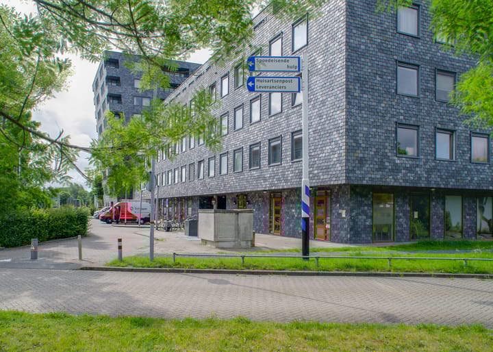 Foto 6 van Rottumeroog 246