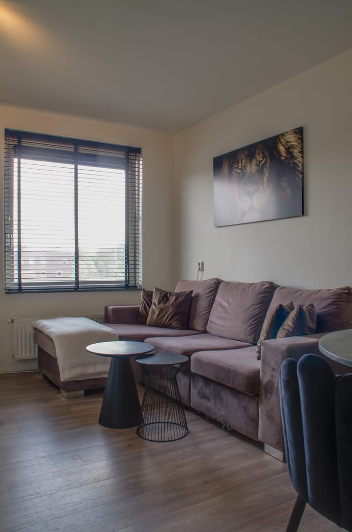 Foto 15 van Rottumeroog 246