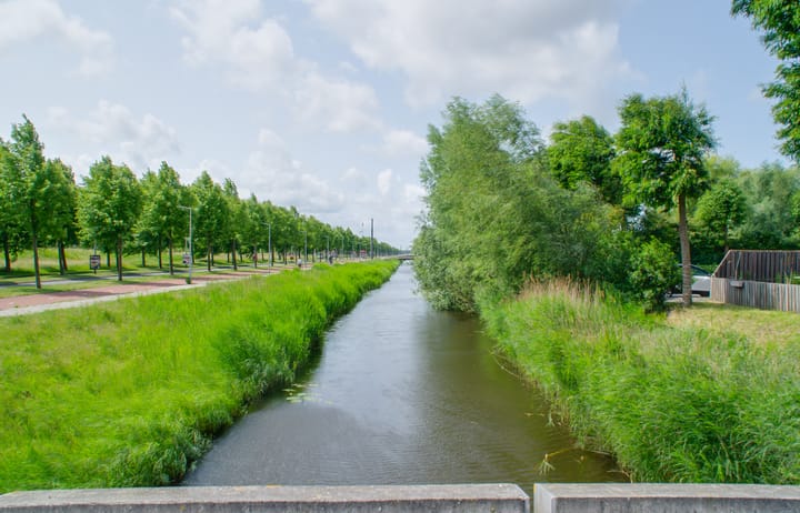 Foto 24 van Rottumeroog 246