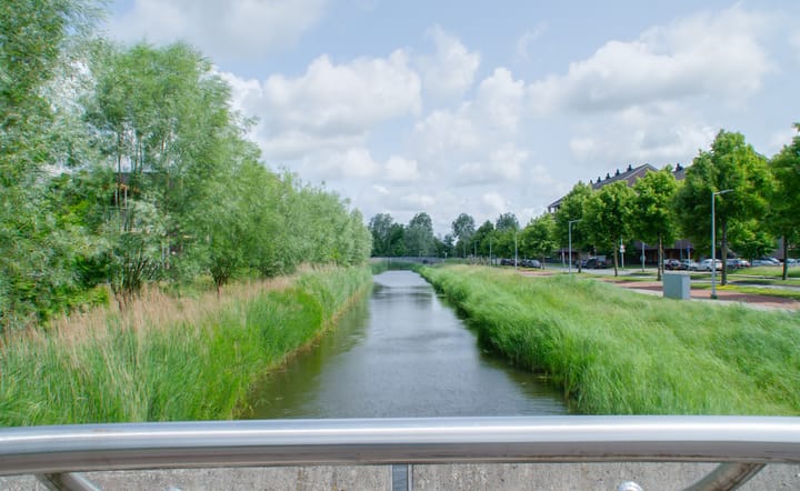 Foto 25 van Rottumeroog 246