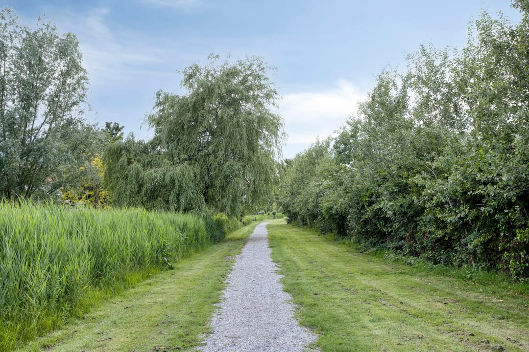 Photo 46 of Sint Jansberg 282