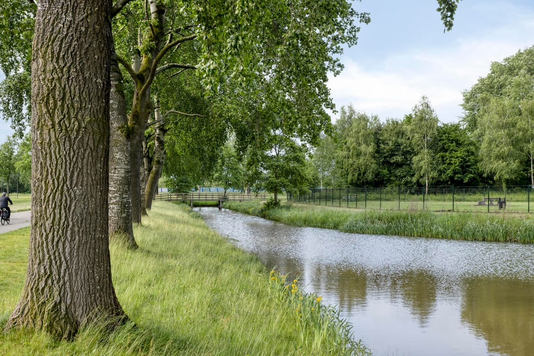 Photo 47 of Sint Jansberg 282