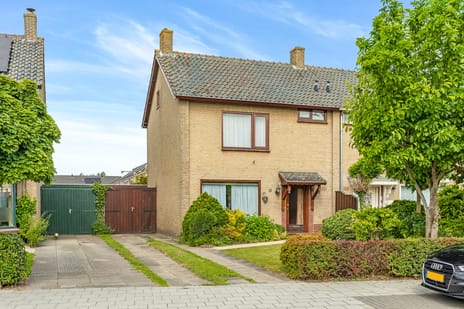 undefined main image