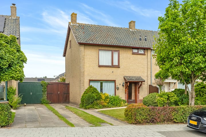 Foto 1 van Hemiksemstraat 21