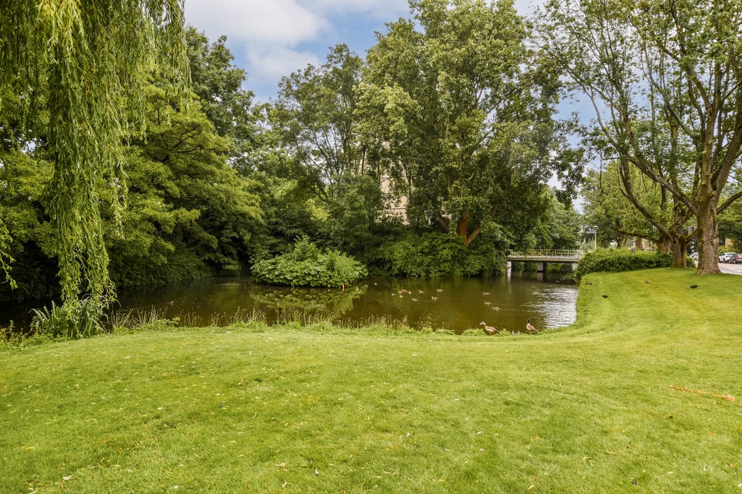 Foto 31 van Oostelijk Halfrond 110