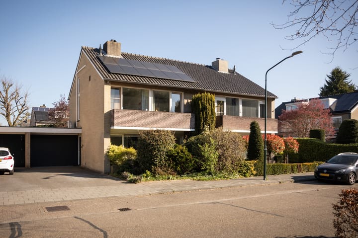 undefined main image