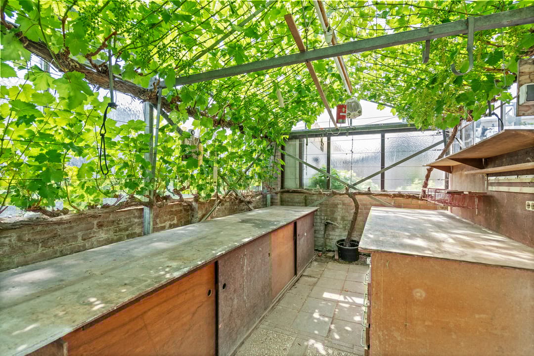 Foto 31 van Druivenstraat 37