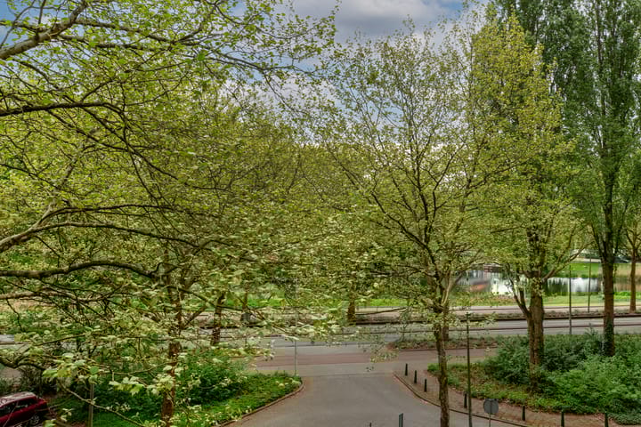 Foto 28 van Schapendreef 101