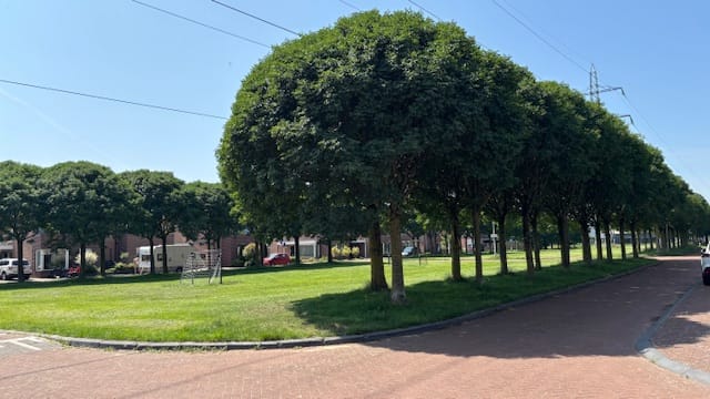 Foto 38 van Terras 16