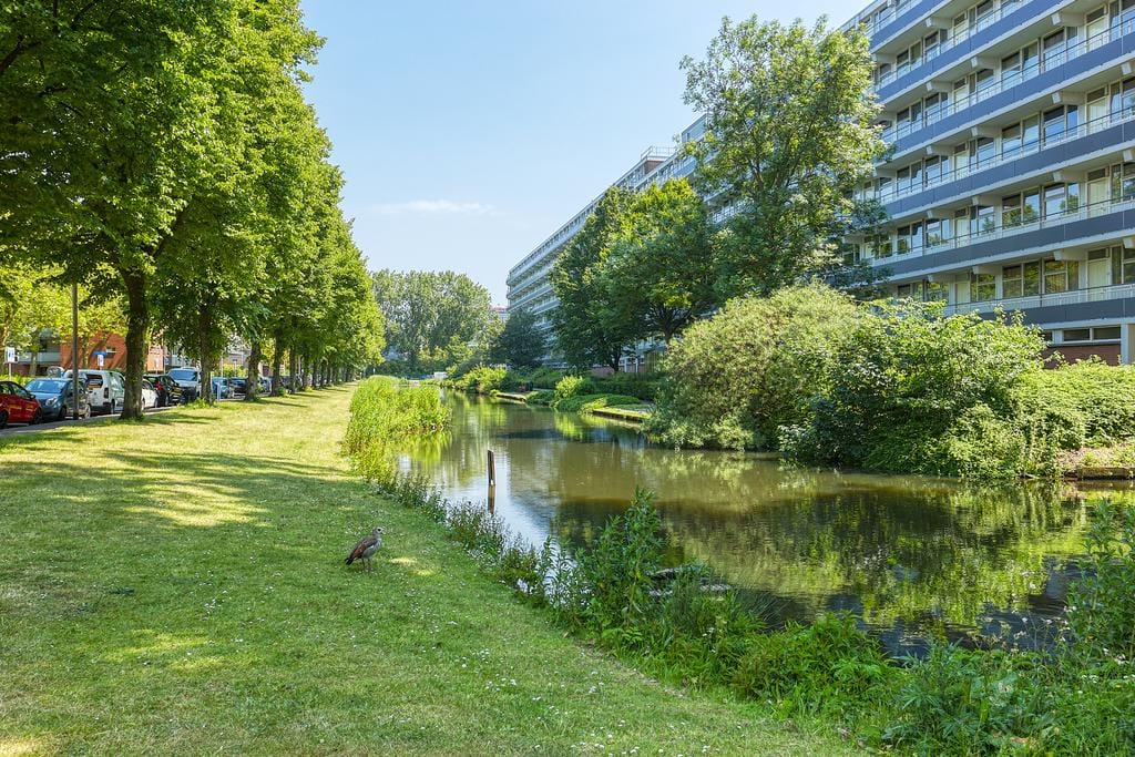 Photo 33 of Apolloweg 55