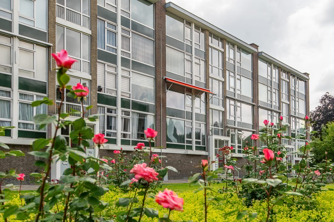 Foto 1 van Smaragdhorst 275