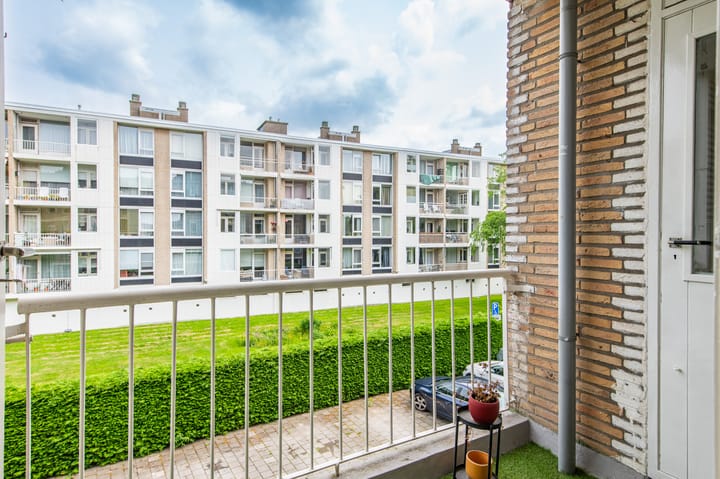 Foto 24 van Smaragdhorst 275