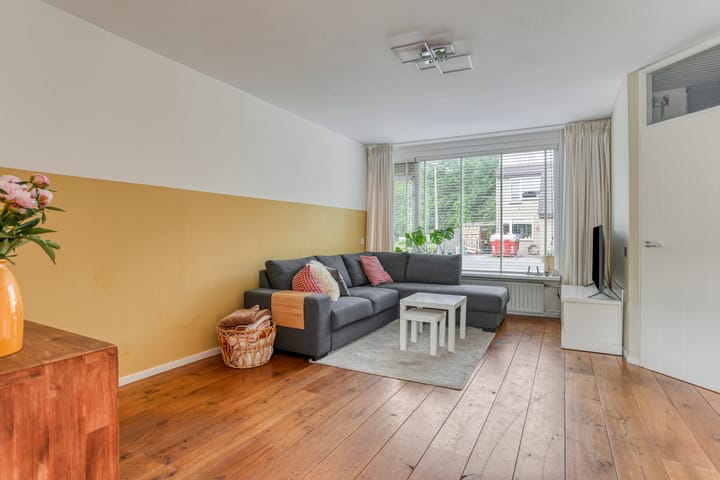 Foto 2 van Delfland 6