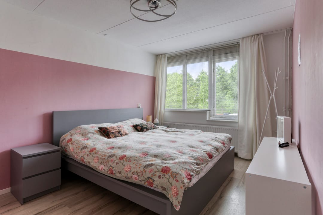 Foto 8 van Delfland 6