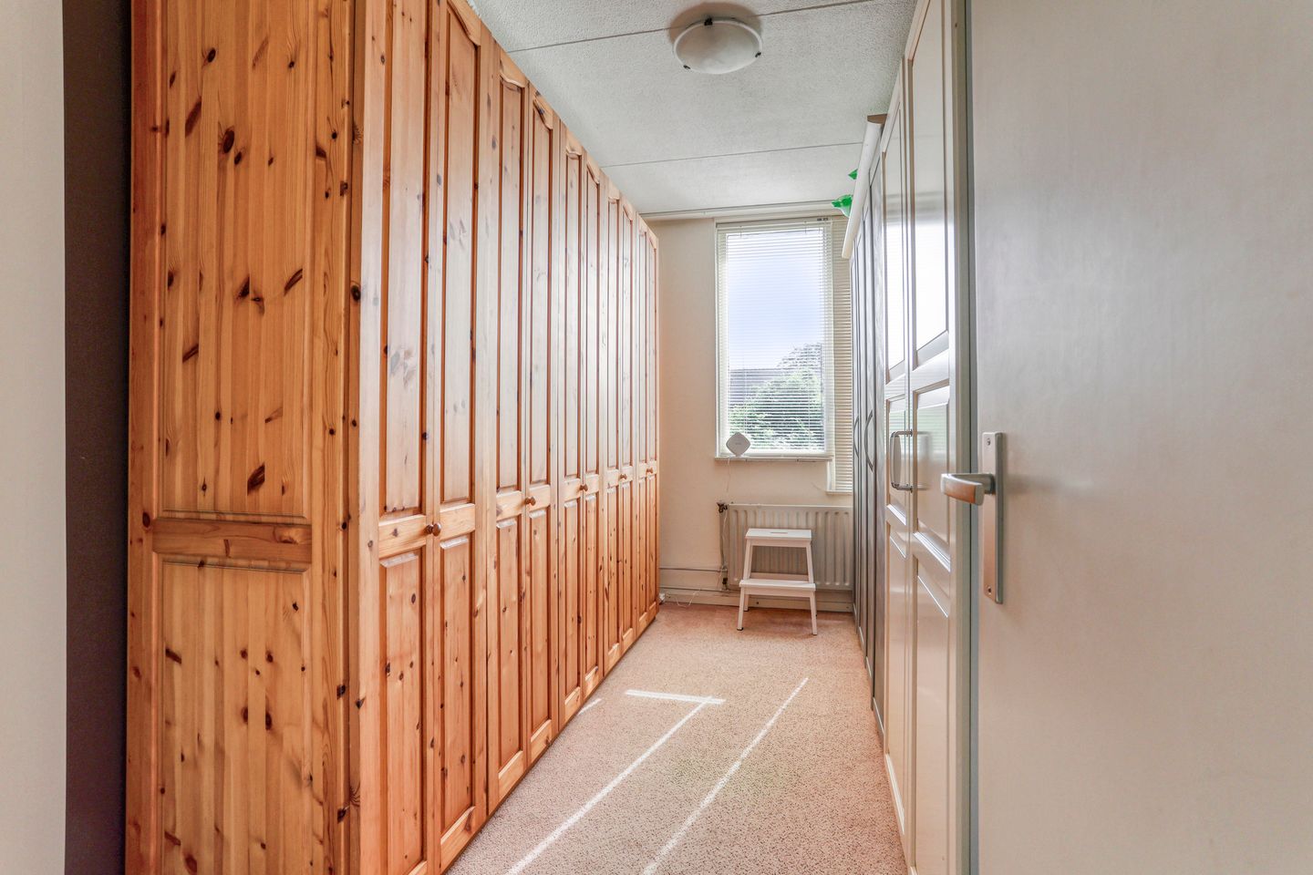 Foto 10 van Delfland 6