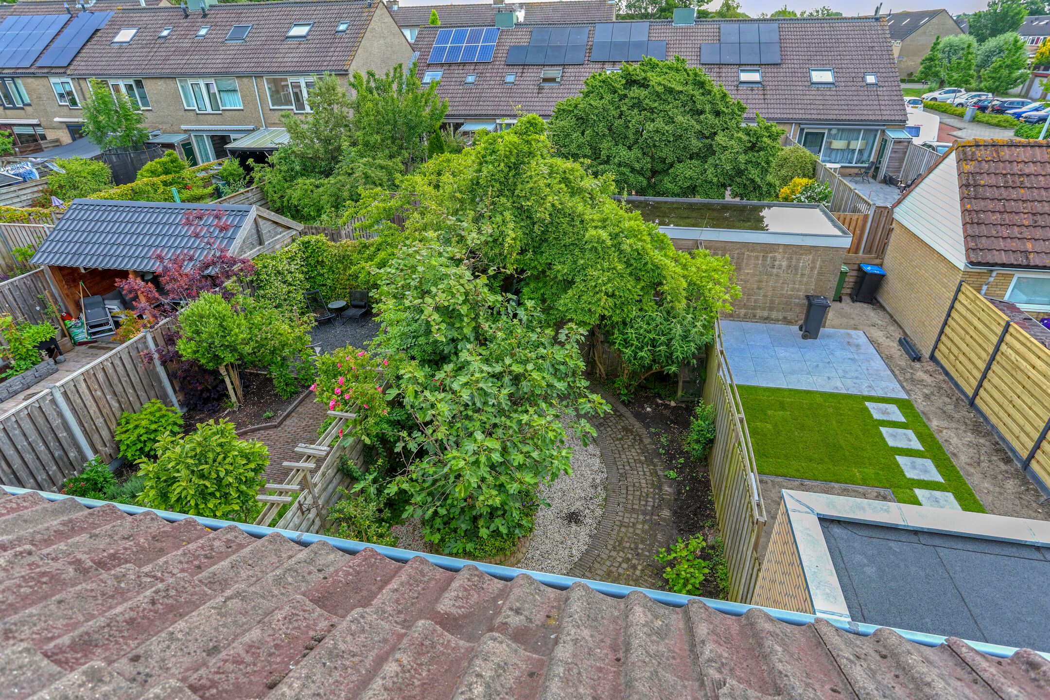 Foto 15 van Delfland 6