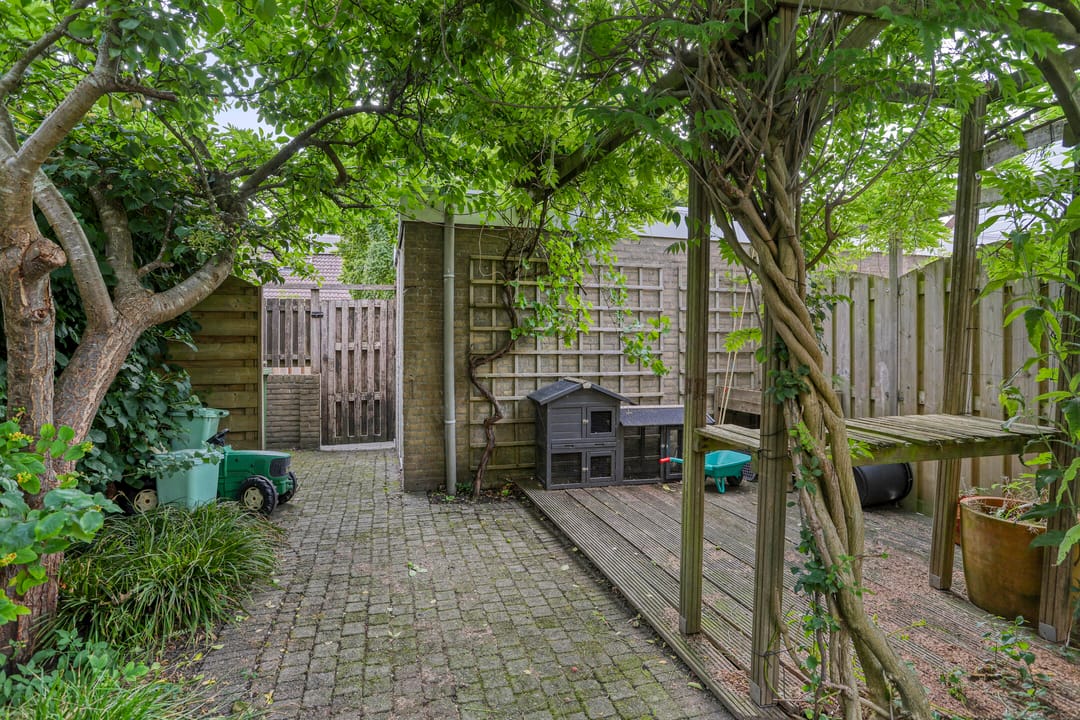 Foto 17 van Delfland 6