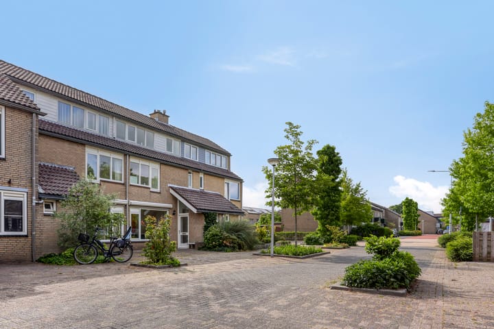 Foto 1 van Delfland 6