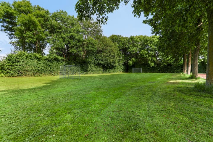 Foto 21 van Delfland 6