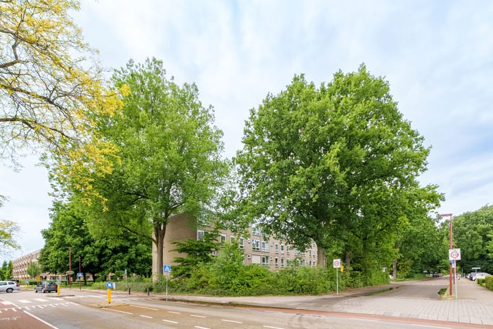 Foto 2 van van Herwijnenplantsoen 306