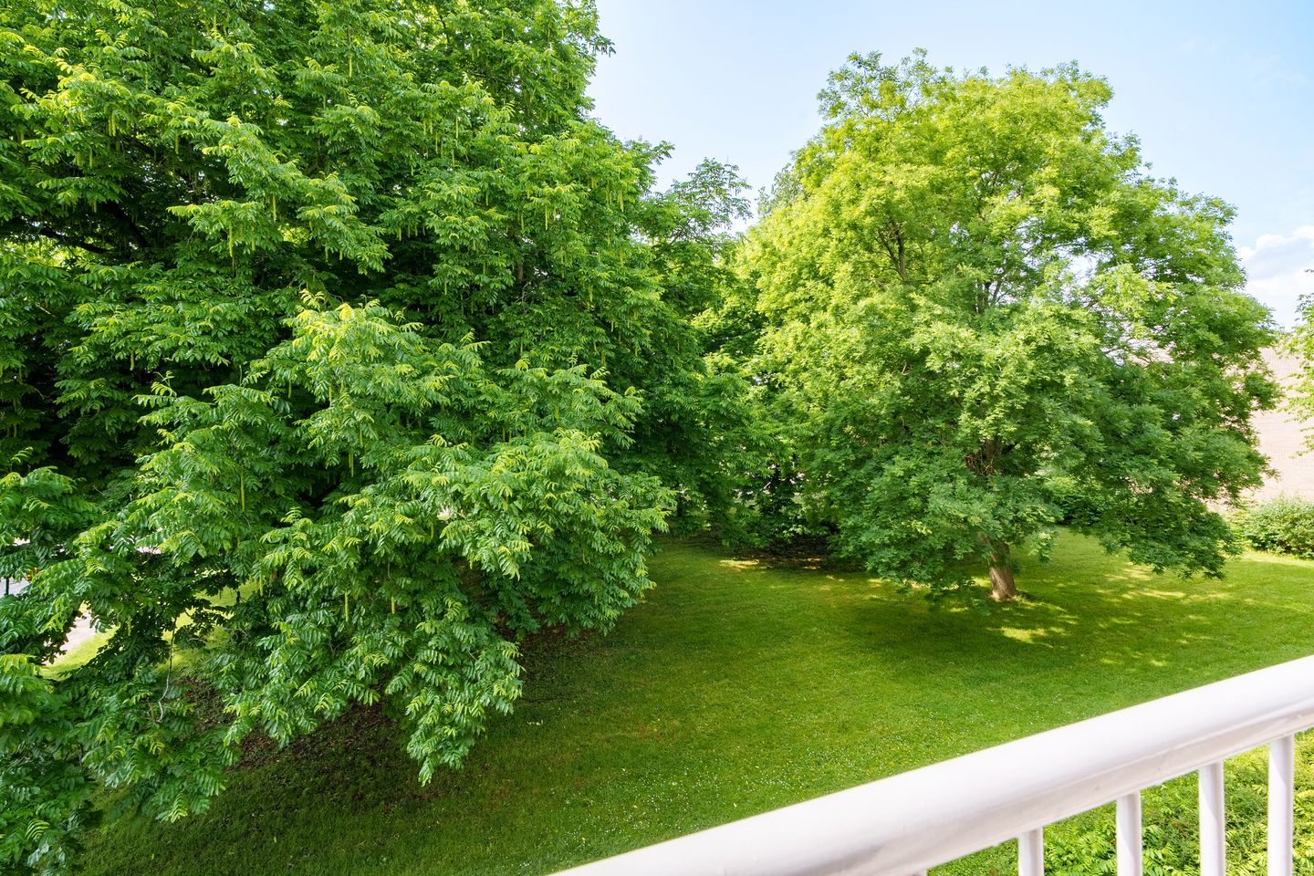 Foto 19 van van Herwijnenplantsoen 306