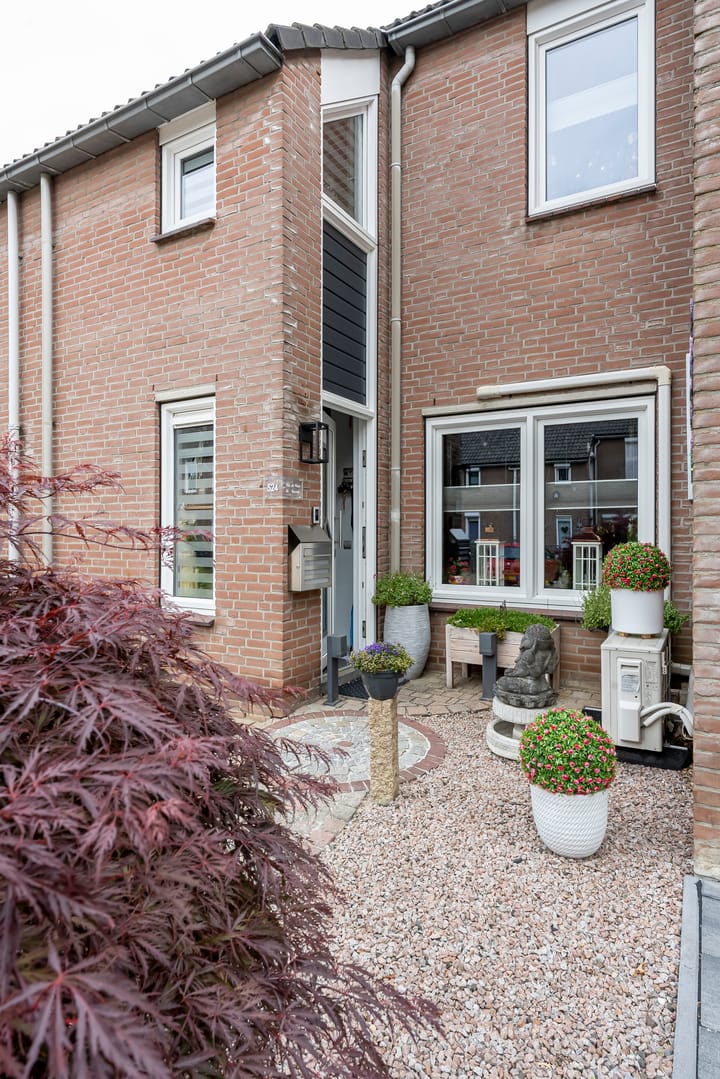 Foto 4 van Fossielenerf 524