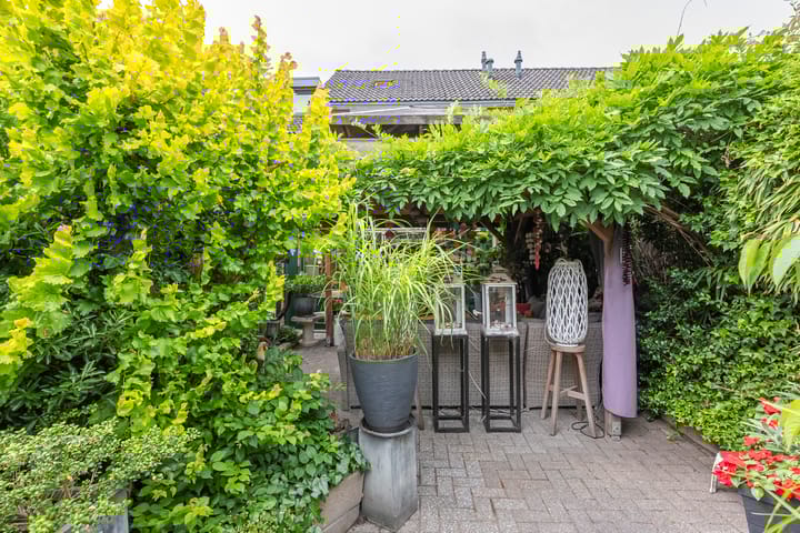 Foto 21 van Fossielenerf 524