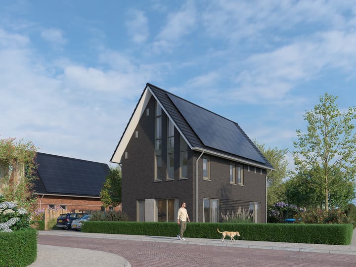 Foto 1 van Kersenbloesem BNR 3