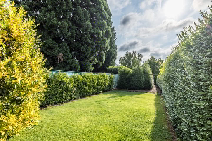 Foto 30 van Aalbekerweg 12