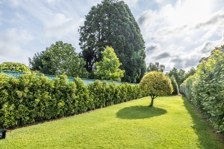 Foto 32 van Aalbekerweg 12