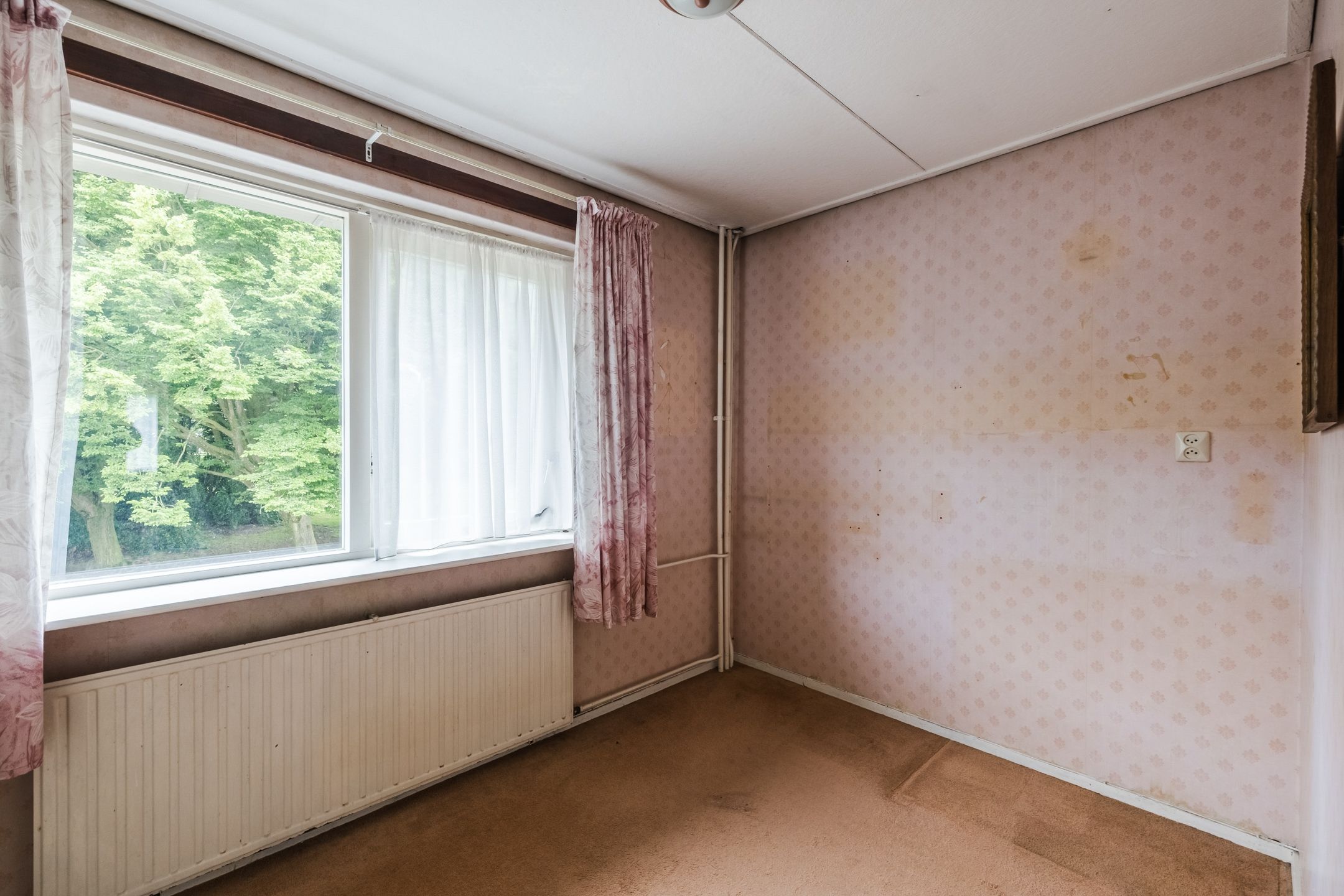 Photo 18 of Plantsoen 34