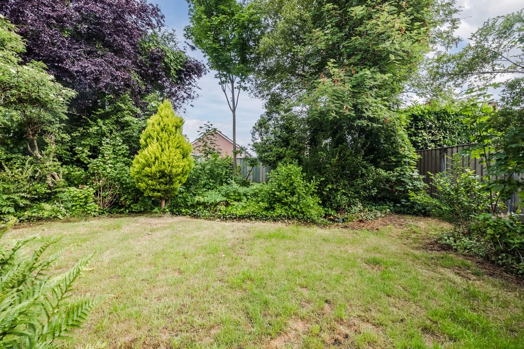 Photo 38 of Plantsoen 34