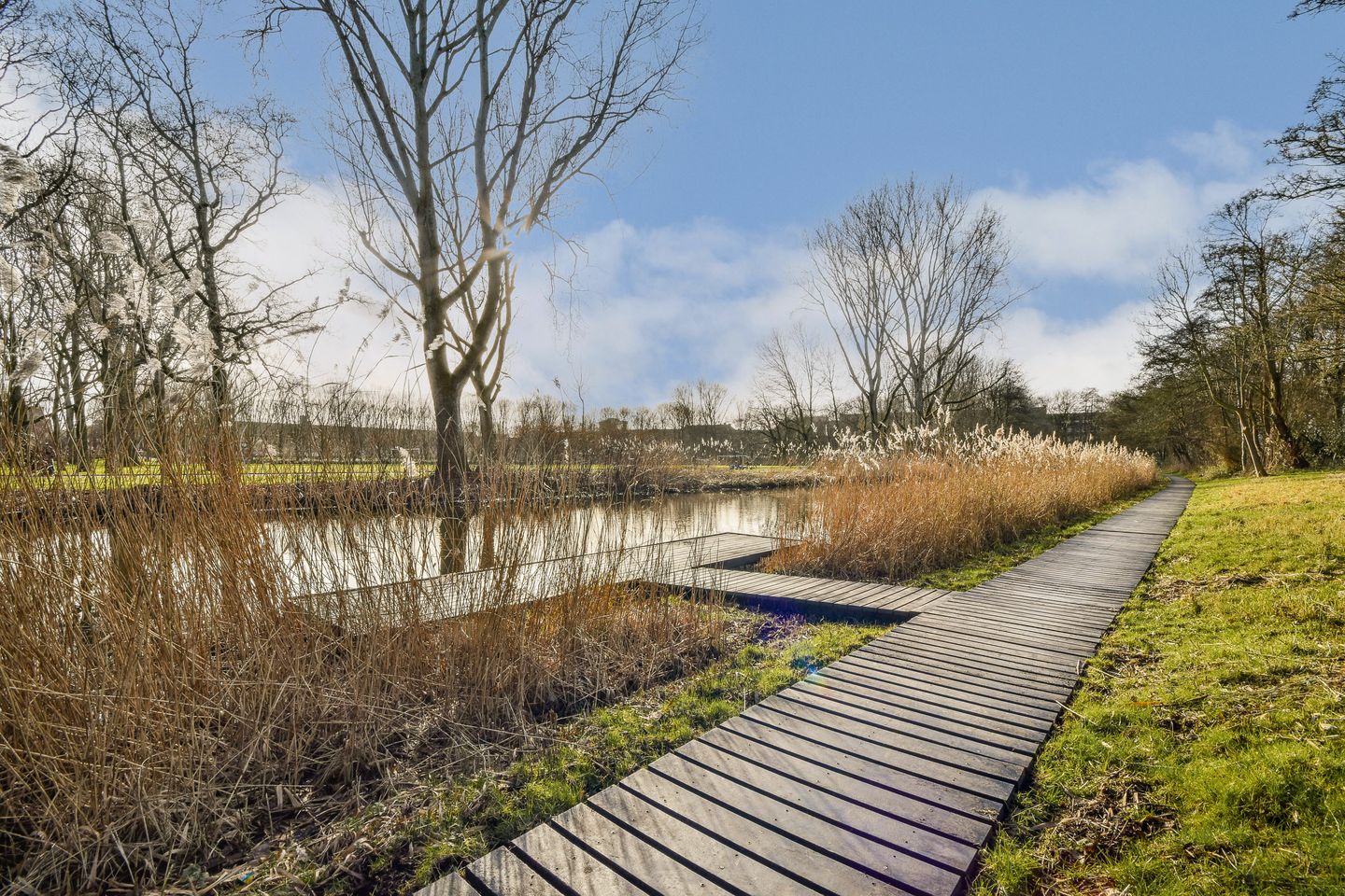 Foto 20 van Merlijnstraat 15-2