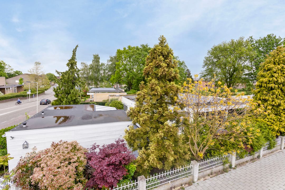 Foto 28 van Meidoornlaan 137