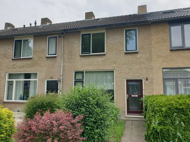 undefined main image
