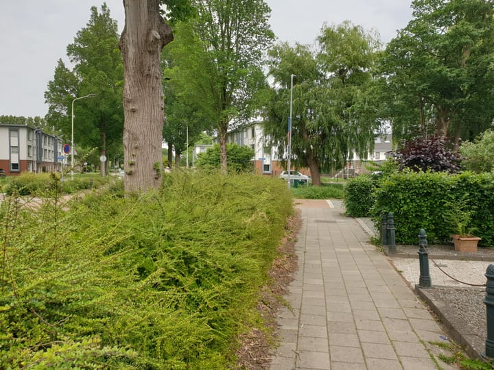 Foto 3 van Reigerweg 58