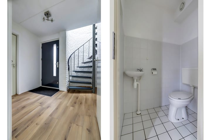 Foto 6 van De Sallandse Roe 21