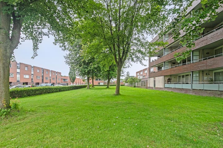 Foto 36 van Jan Bijhouwerstraat 122