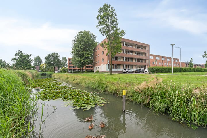 Foto 31 van Jan Bijhouwerstraat 122