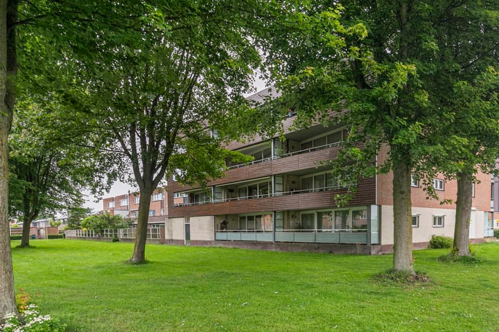 Foto 29 van Jan Bijhouwerstraat 122