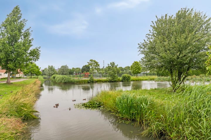 Foto 35 van Jan Bijhouwerstraat 122