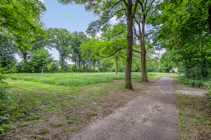 Foto 32 van Albardastraat 125