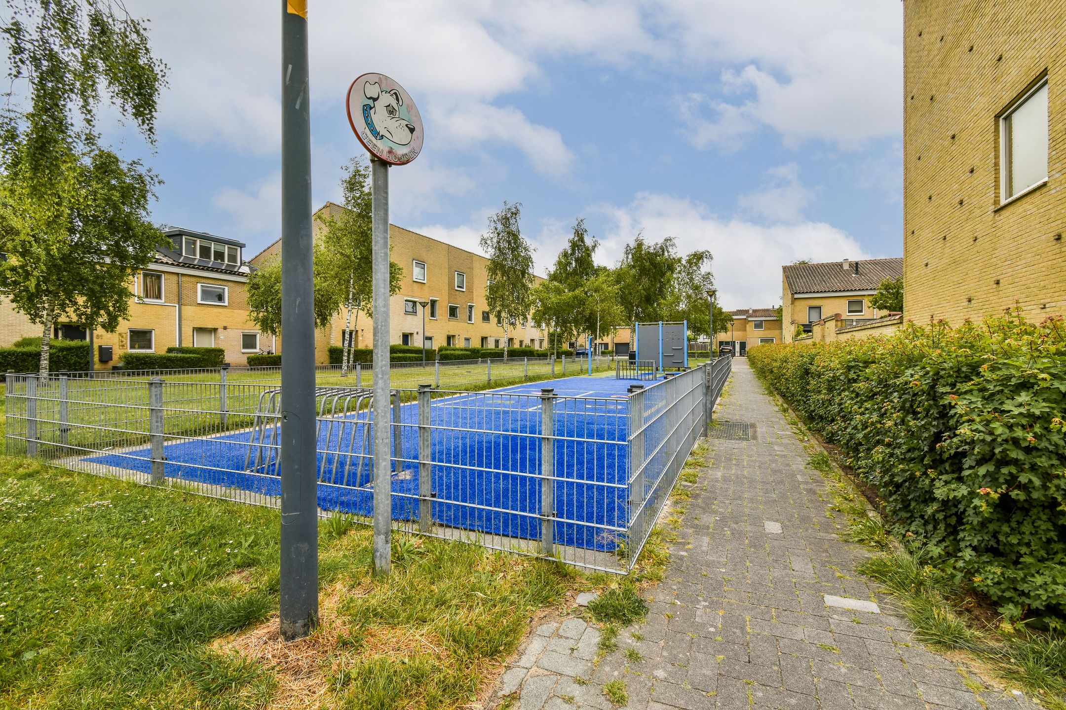 Foto 21 van Het Oerd 61