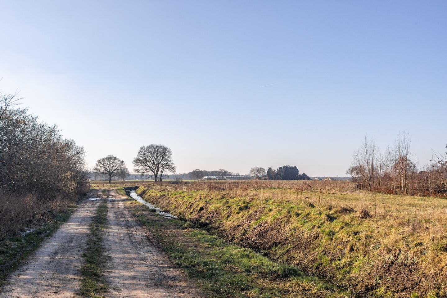 Foto 59 van De Eekhof 29